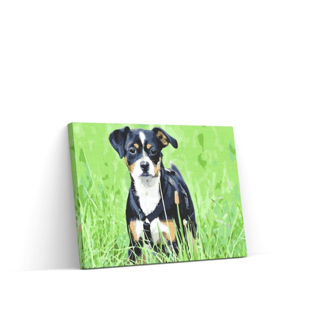 Pintar por Números - Cachorro en la hierba