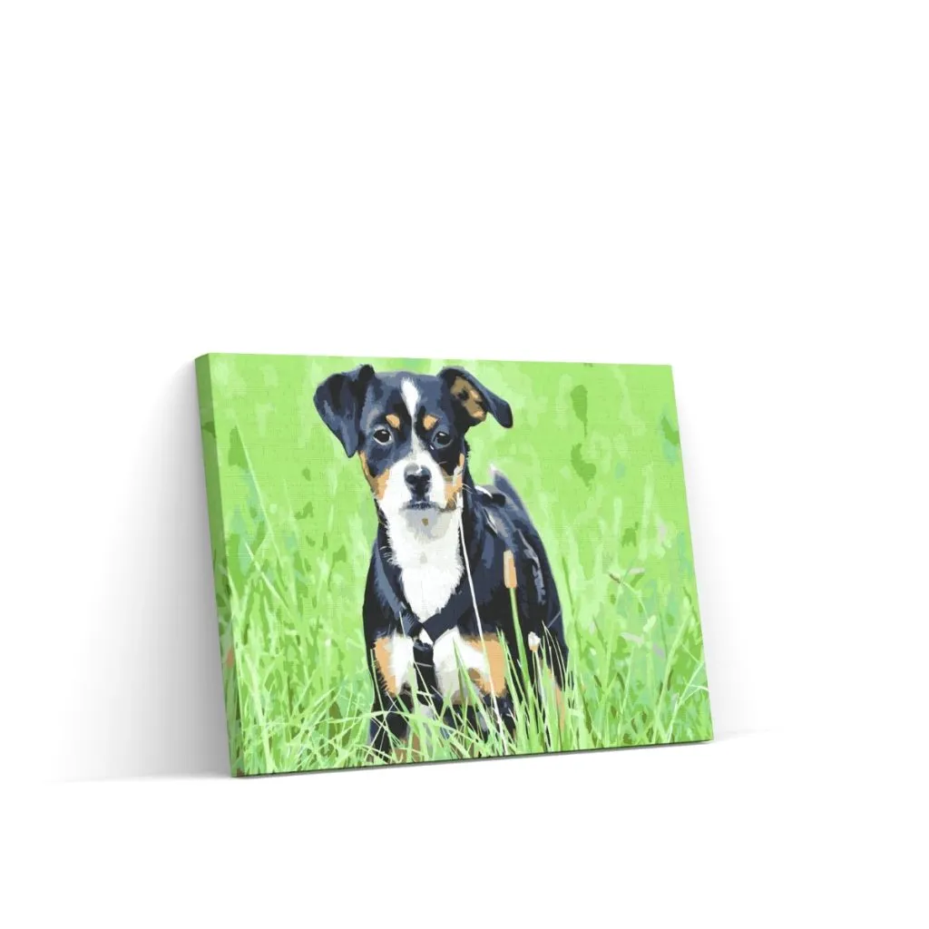 Pintar por Números - Cachorro en la hierba