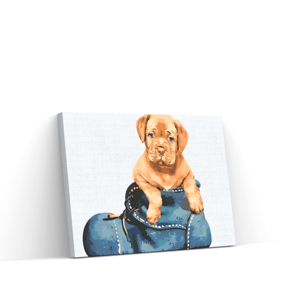Pintar por Números - Cachorro en el zapato