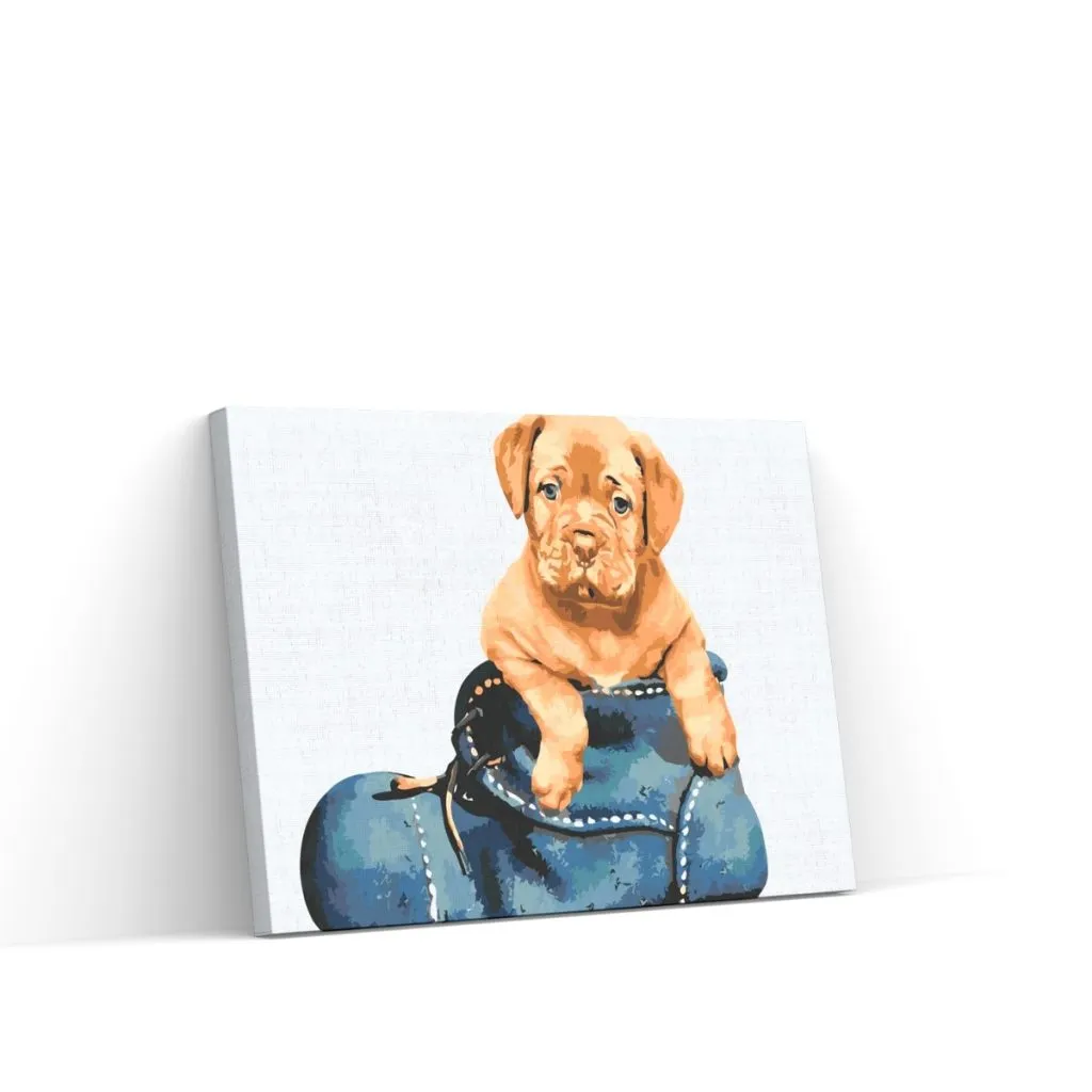 Pintar por Números - Cachorro en el zapato