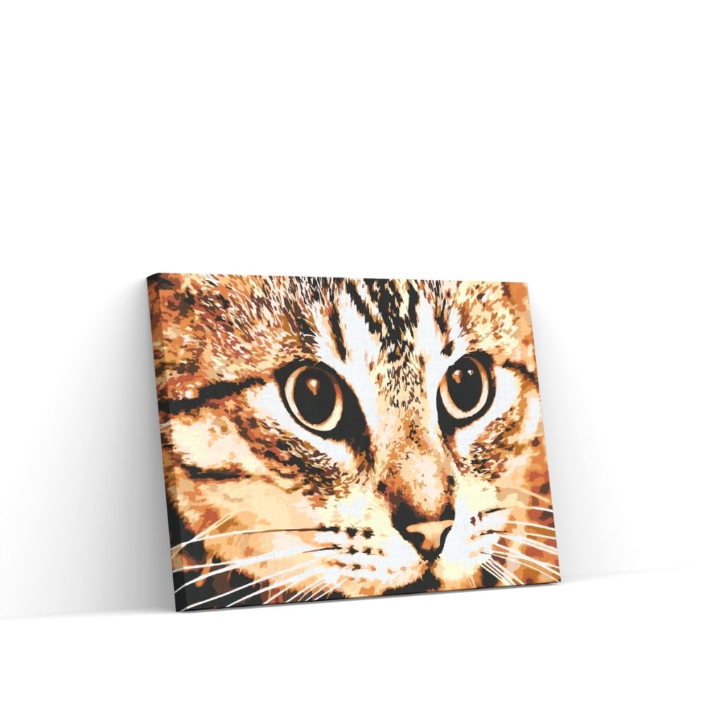 Pintar por Números - Gato tigre