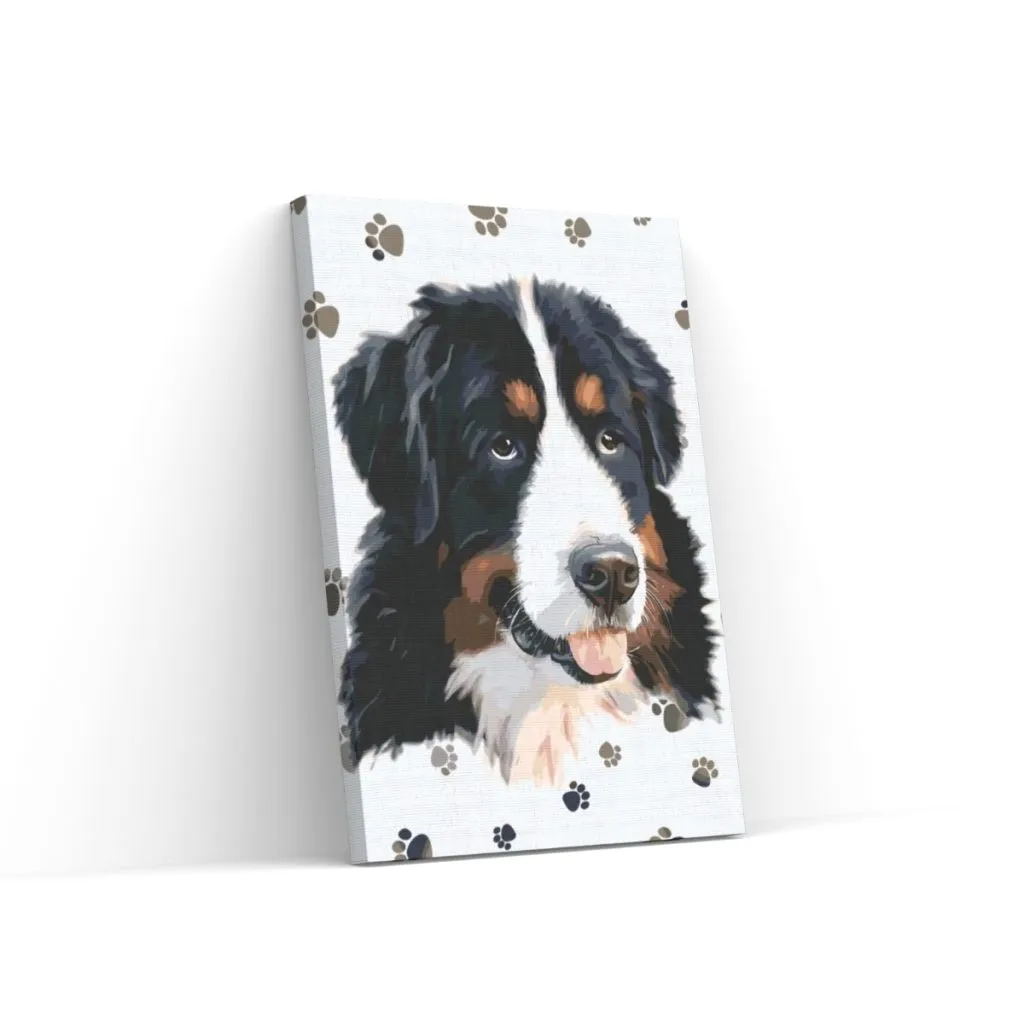 Pintar por Números - Perro con las patas redondas