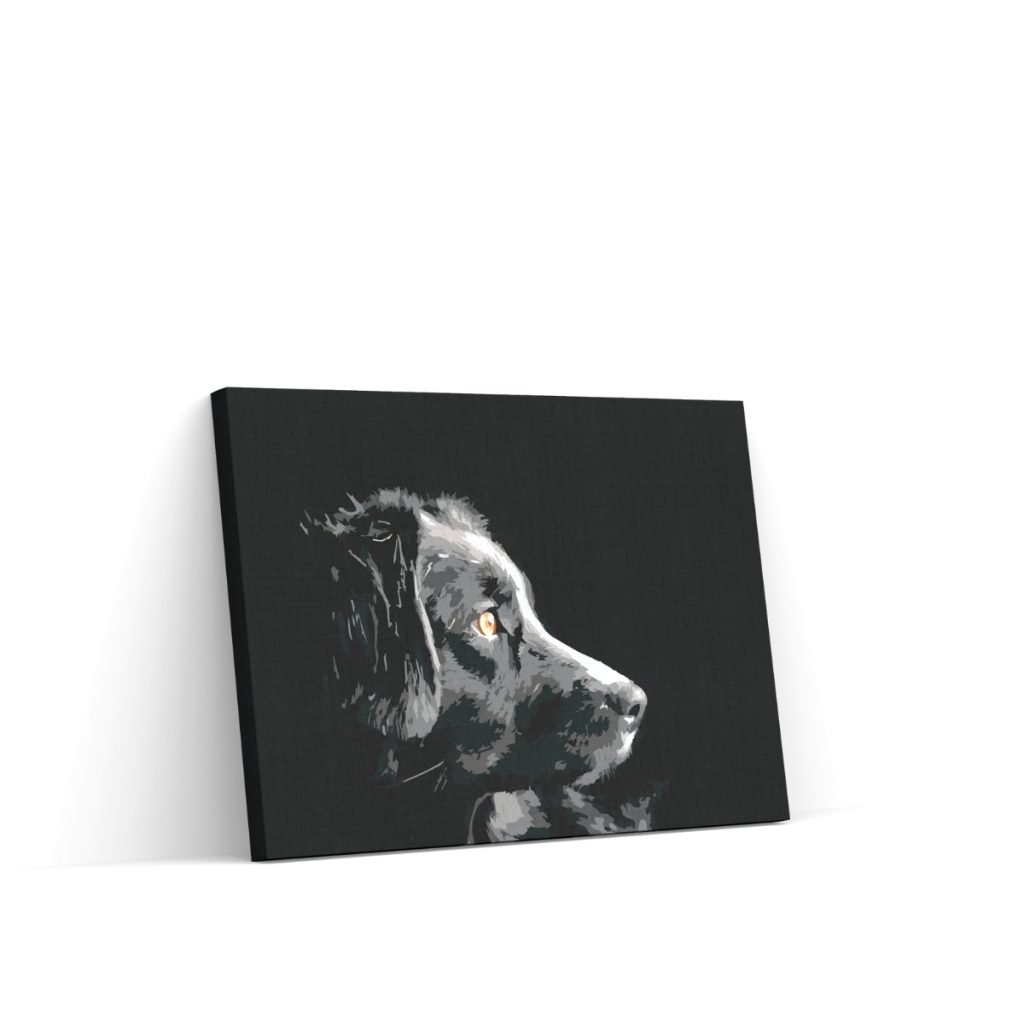 Pintar por Números - El punto de vista del perro