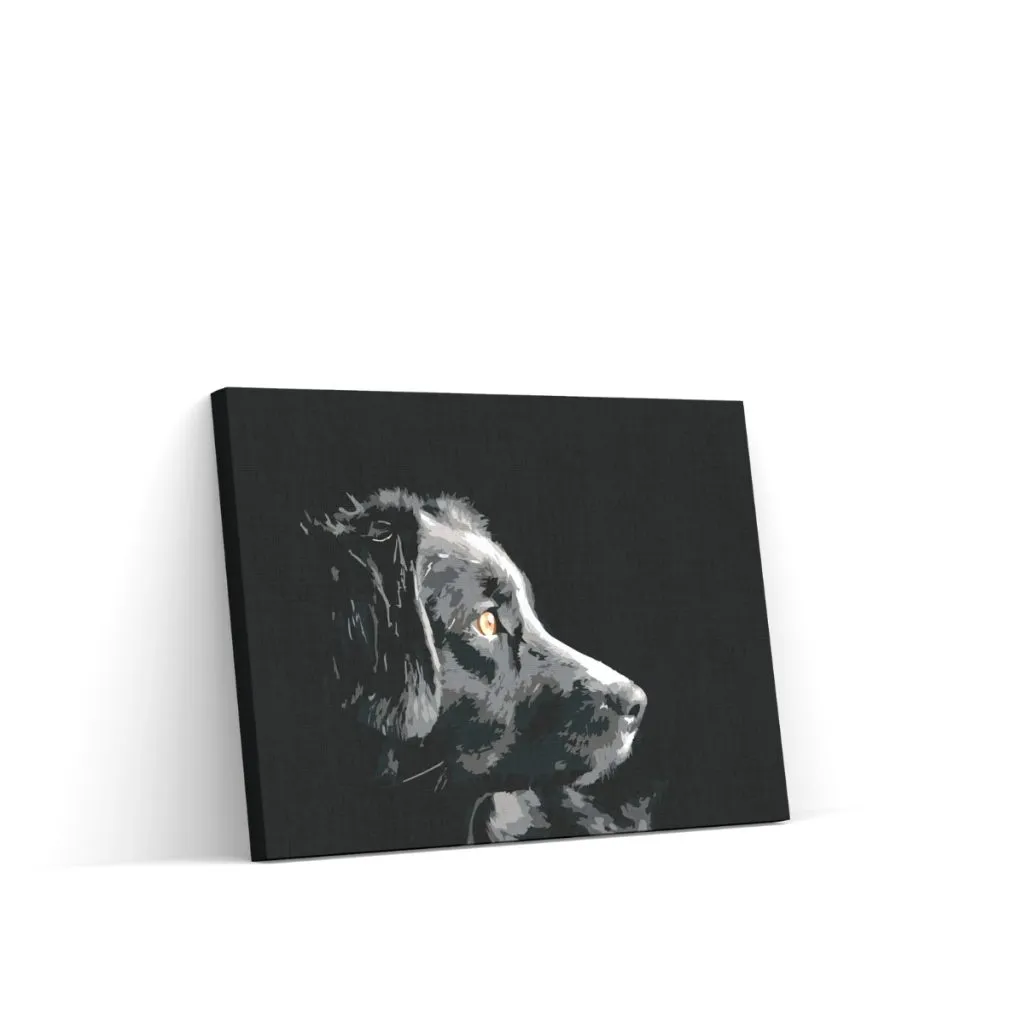 Pintar por Números - El punto de vista del perro