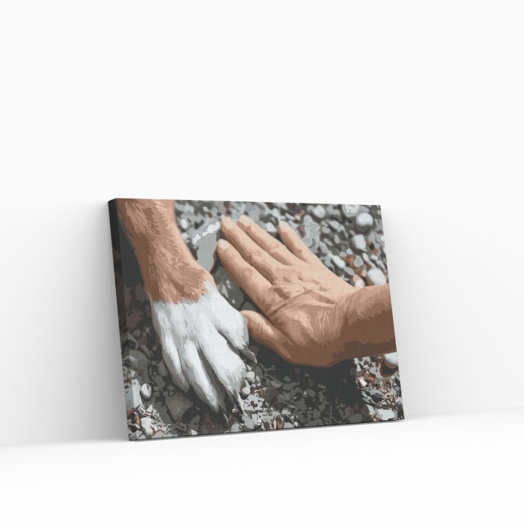 Pintar por Números - Amigos de