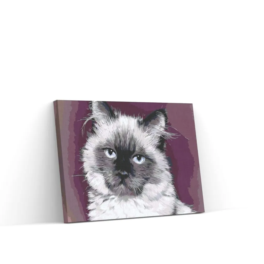 Pintar por Números - Retrato de un gato