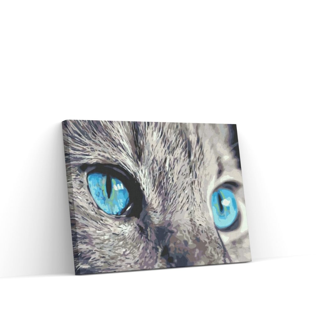 Pintar por Números - Una mirada penetrante