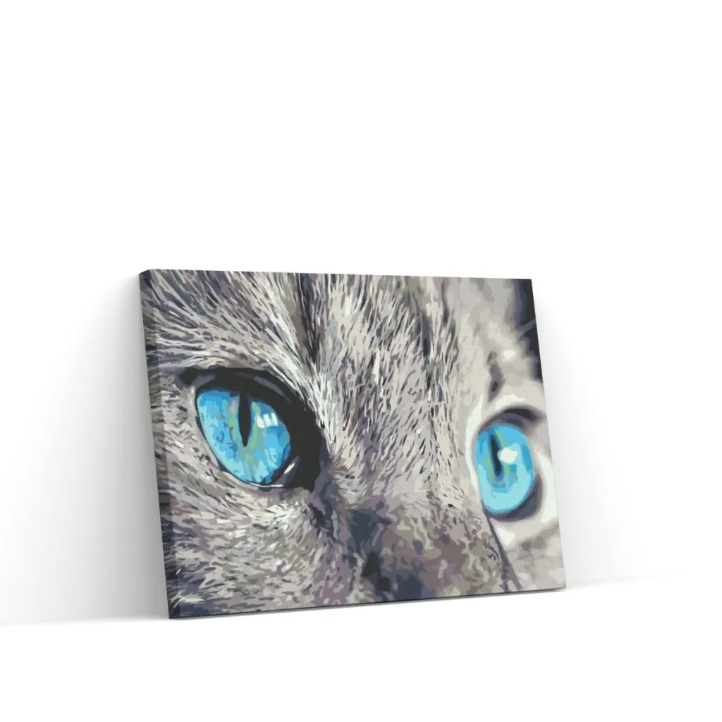 Pintar por Números - Una mirada penetrante