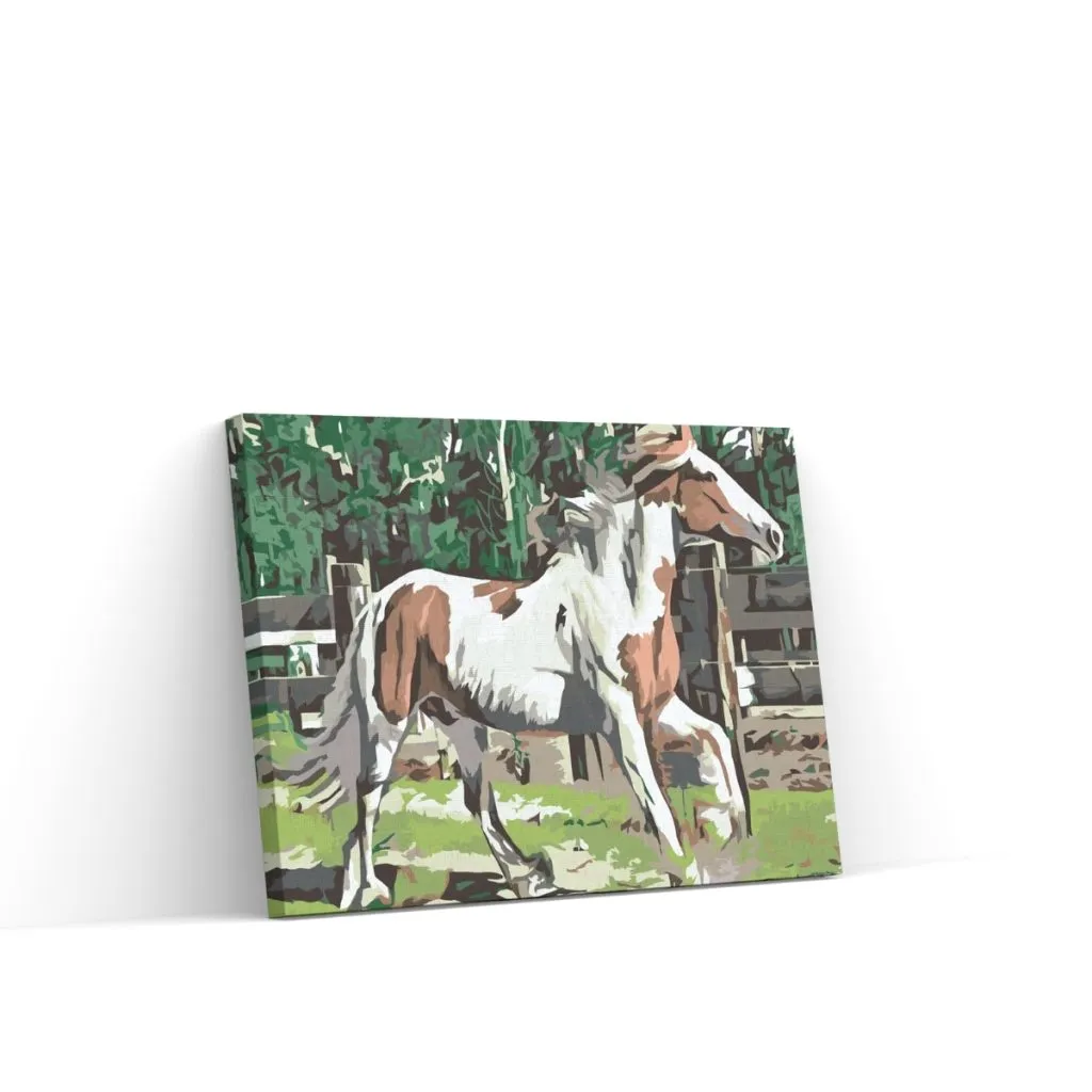Pintar por Números - Caballo en el corral