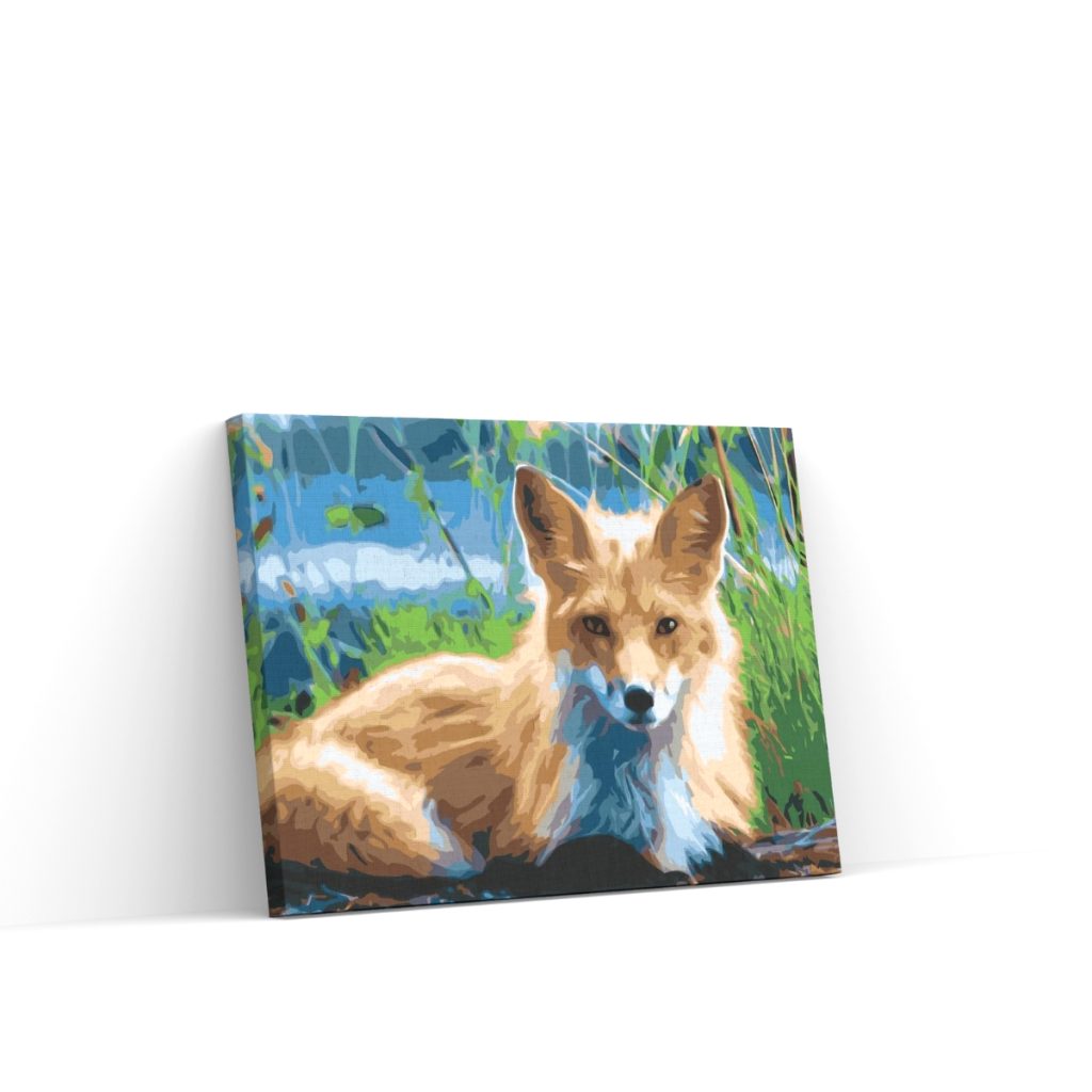 Pintar por Números - Zorro