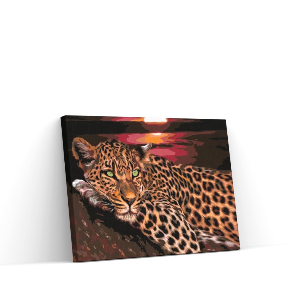 Pintar por Números - Levhart