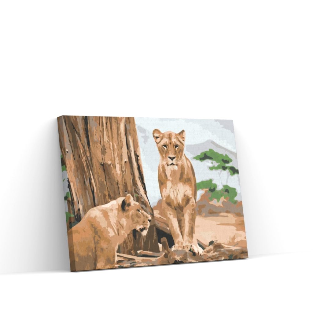 Pintar por Números - Leeuwin