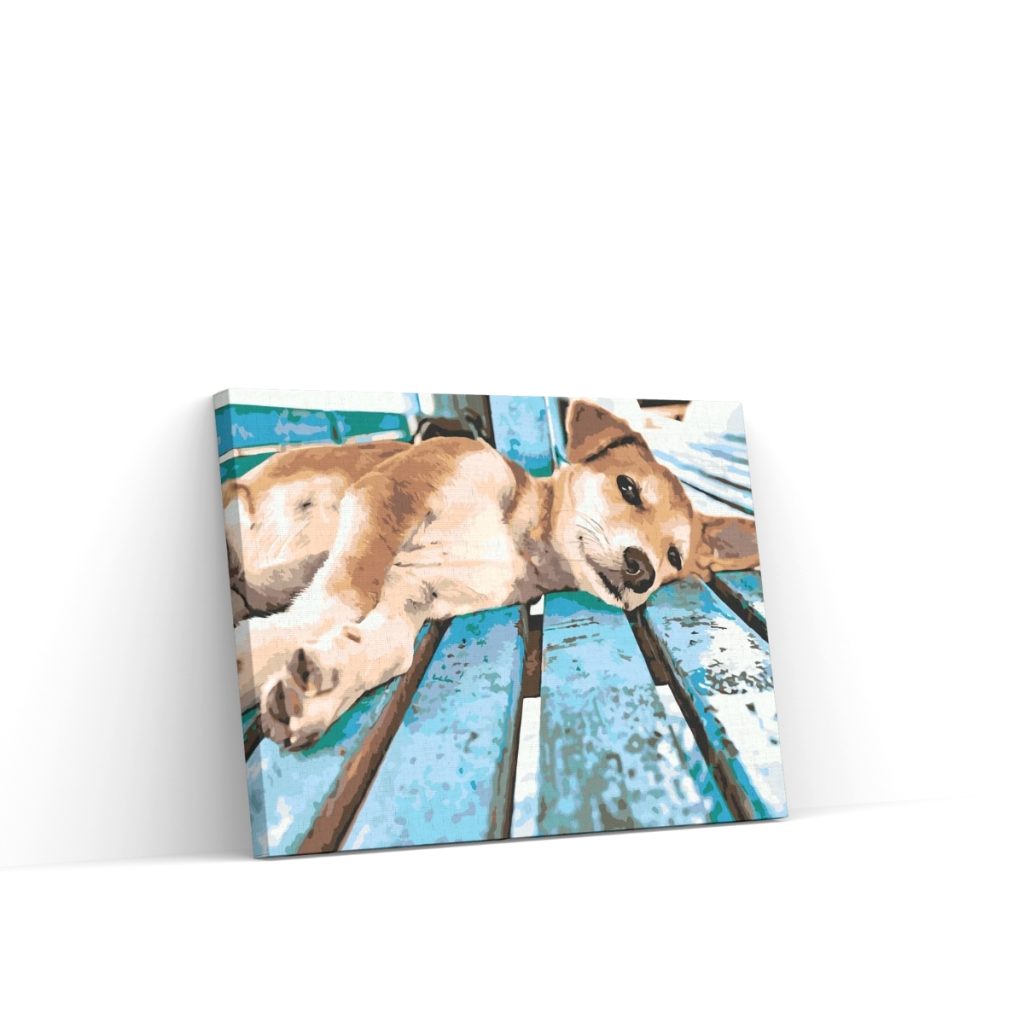 Pintar por Números - Perro perezoso