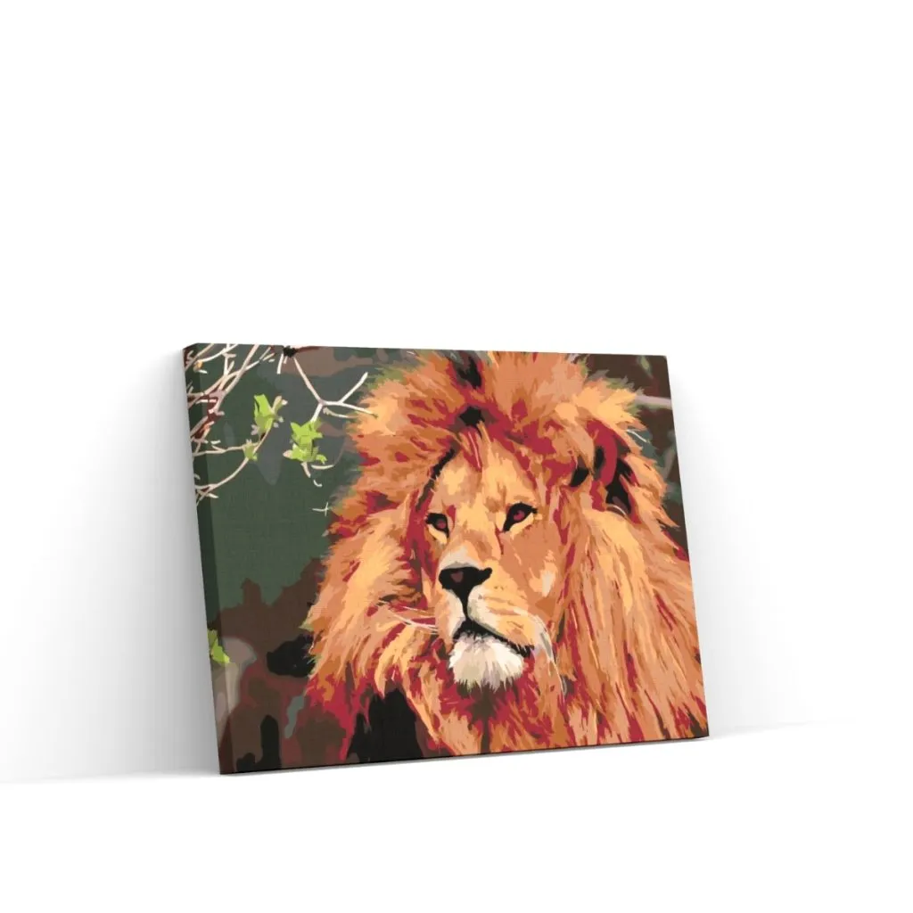 Pintar por Números - León