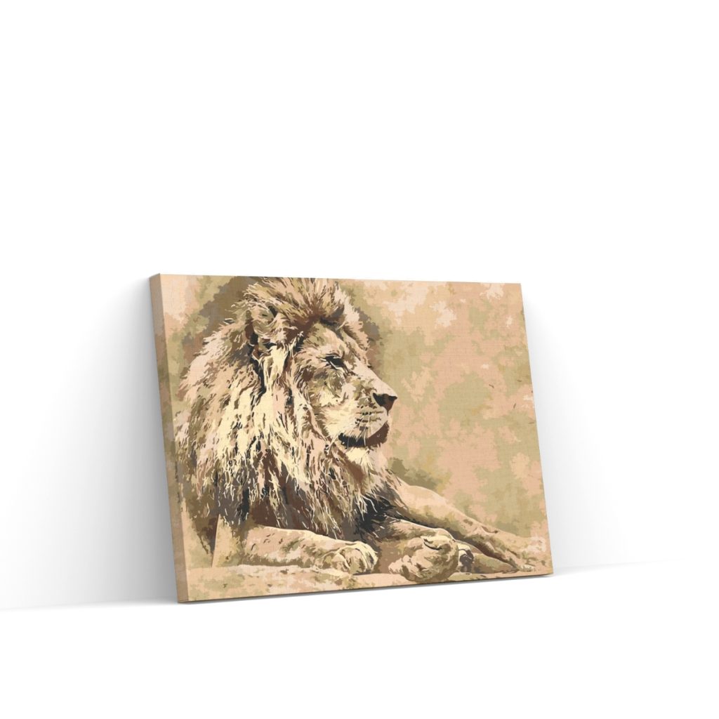 Pintar por Números - León 2