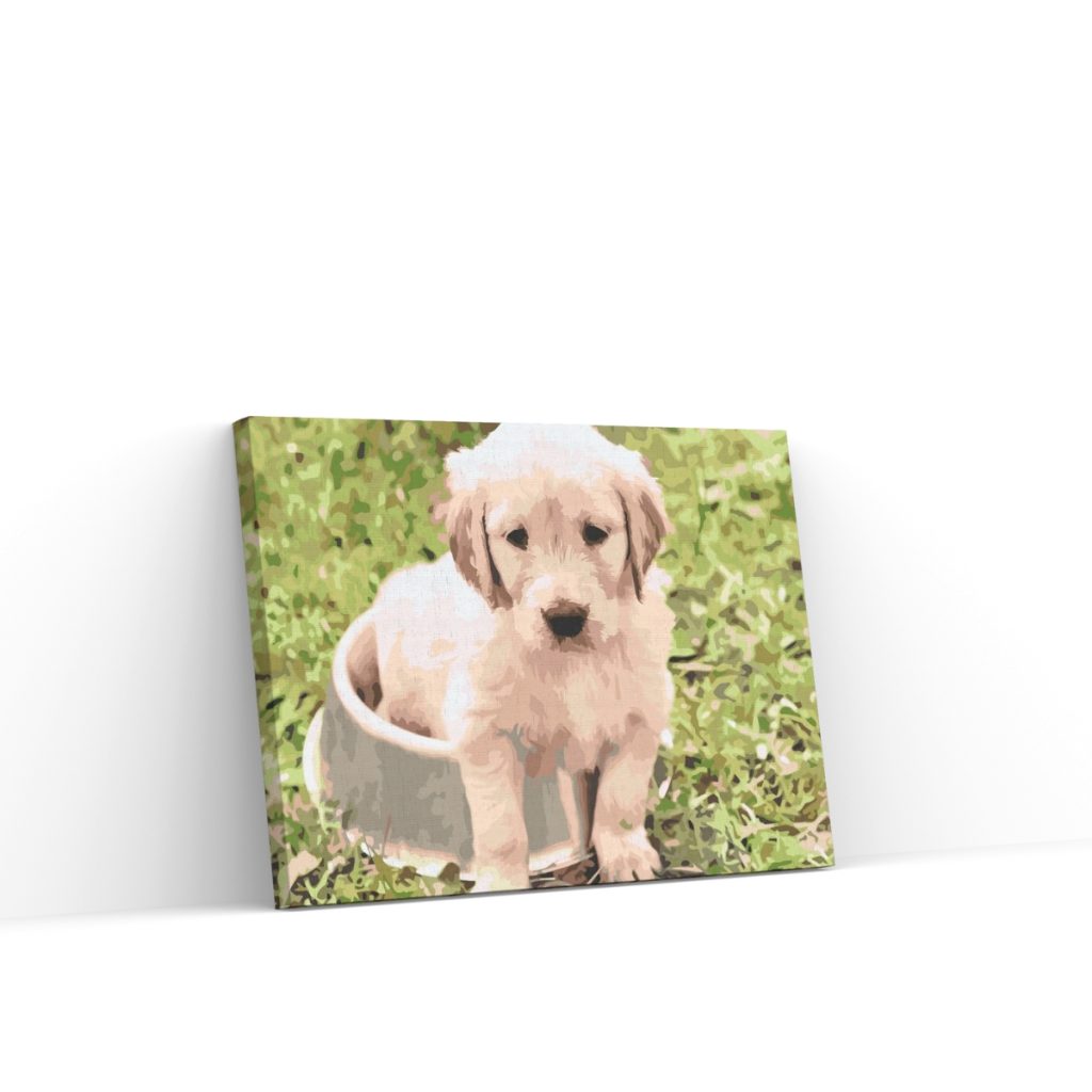 Pintar por Números - Labrador en un cuenco