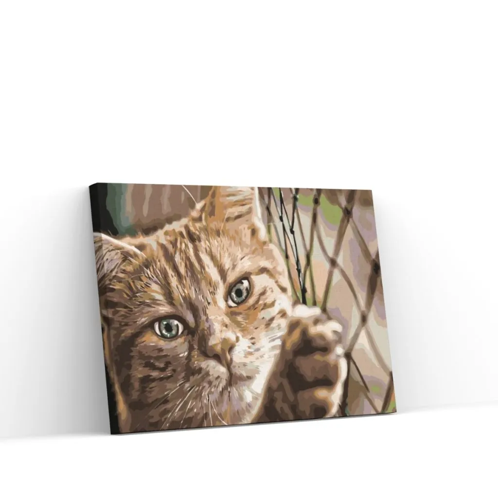 Pintar por Números - Kat op het hek