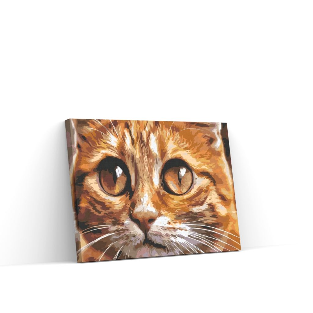 Pintar por Números - Ojos de gato 2