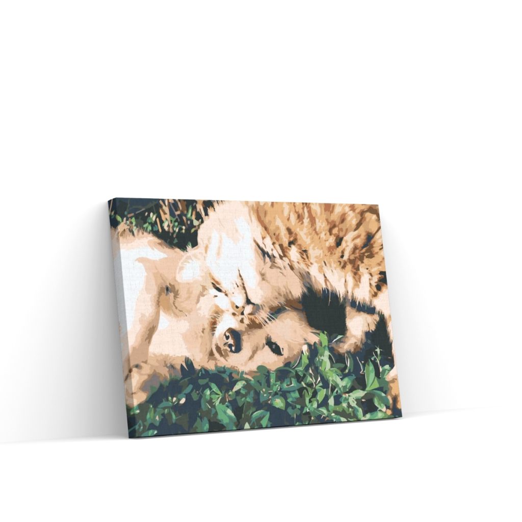 Pintar por Números - Amigos