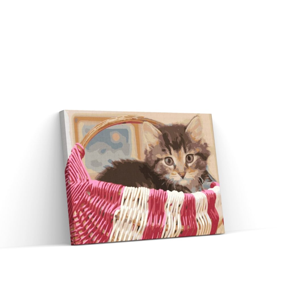 Pintar por Números - Gato en la cesta