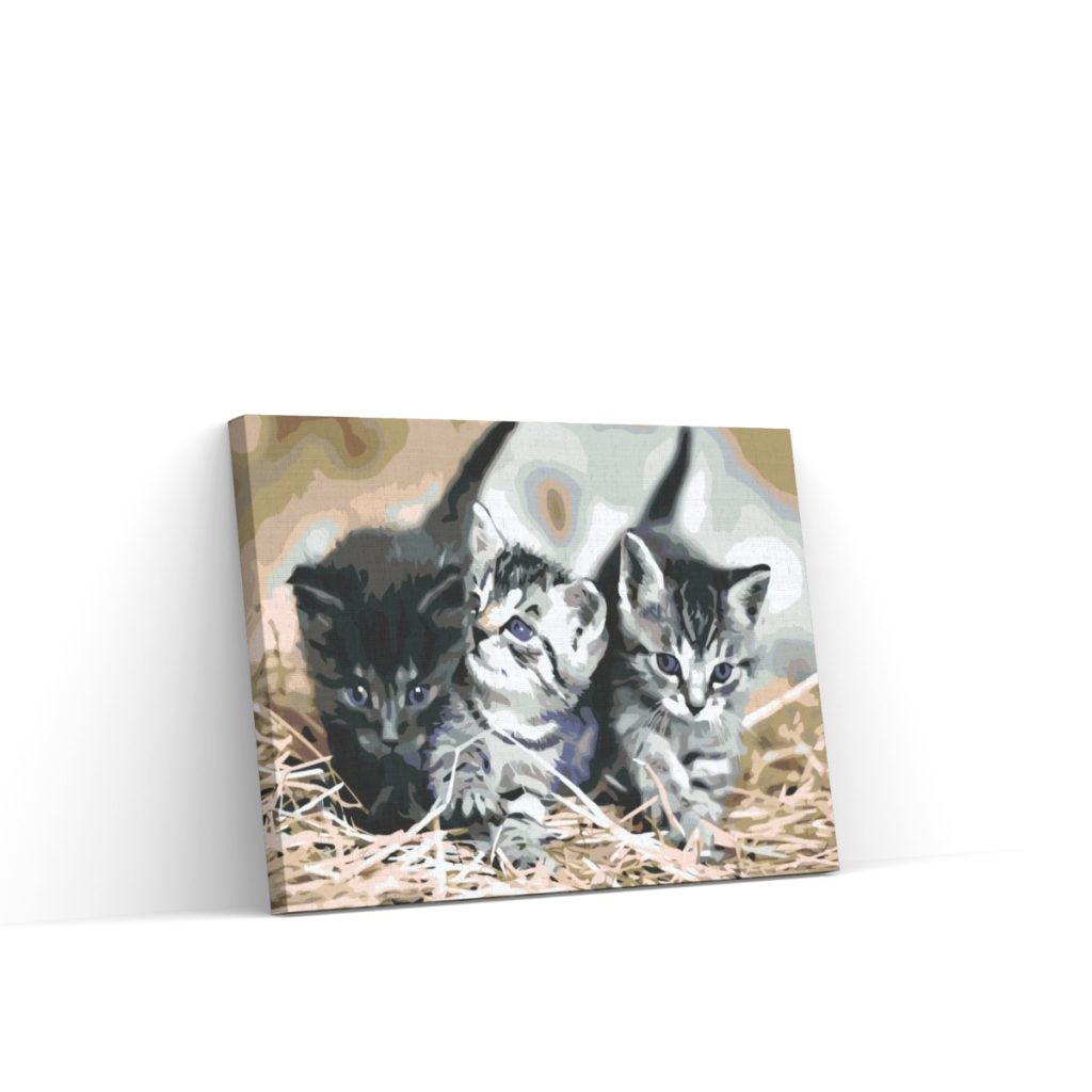 Pintar por Números - Gatitos