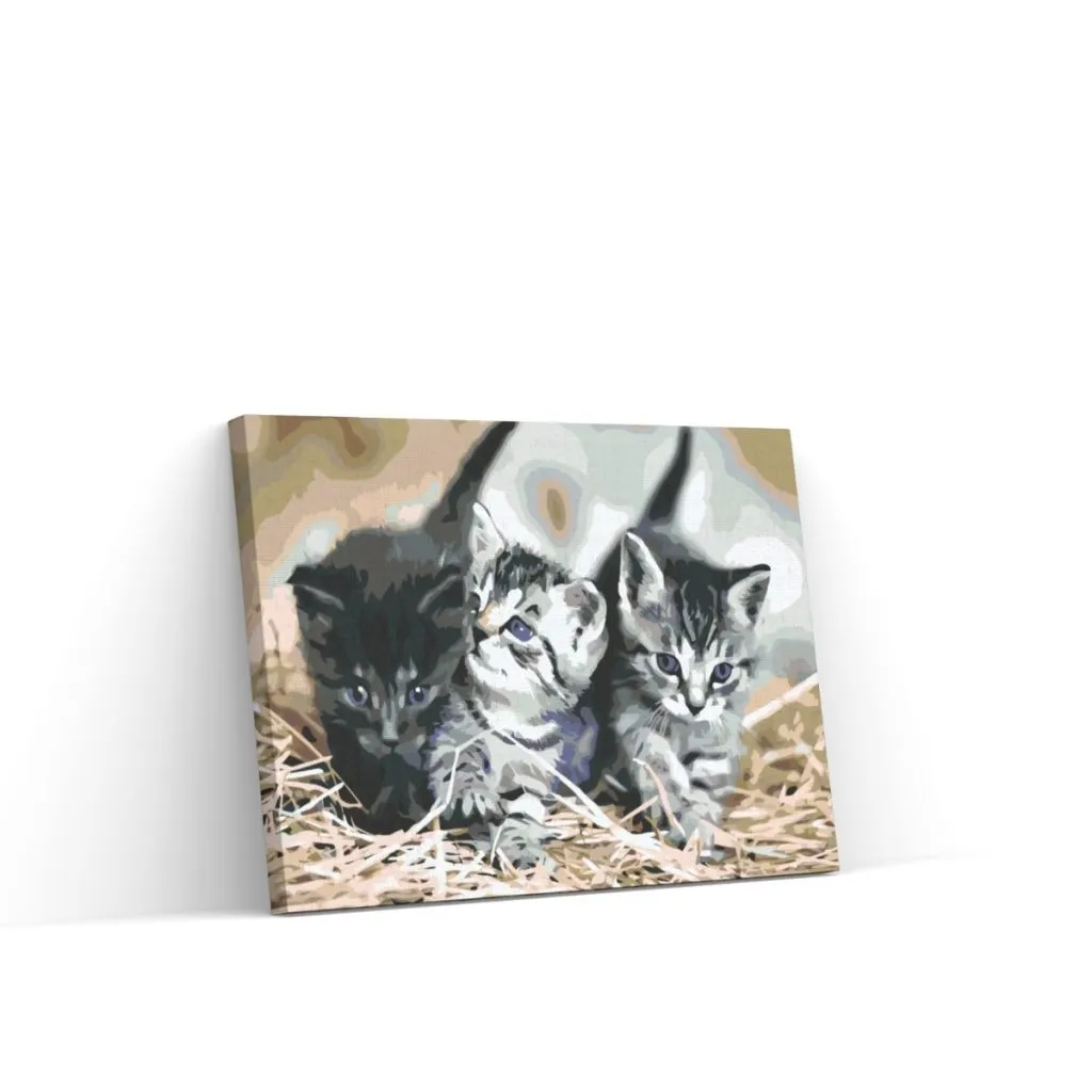 Pintar por Números - Gatitos