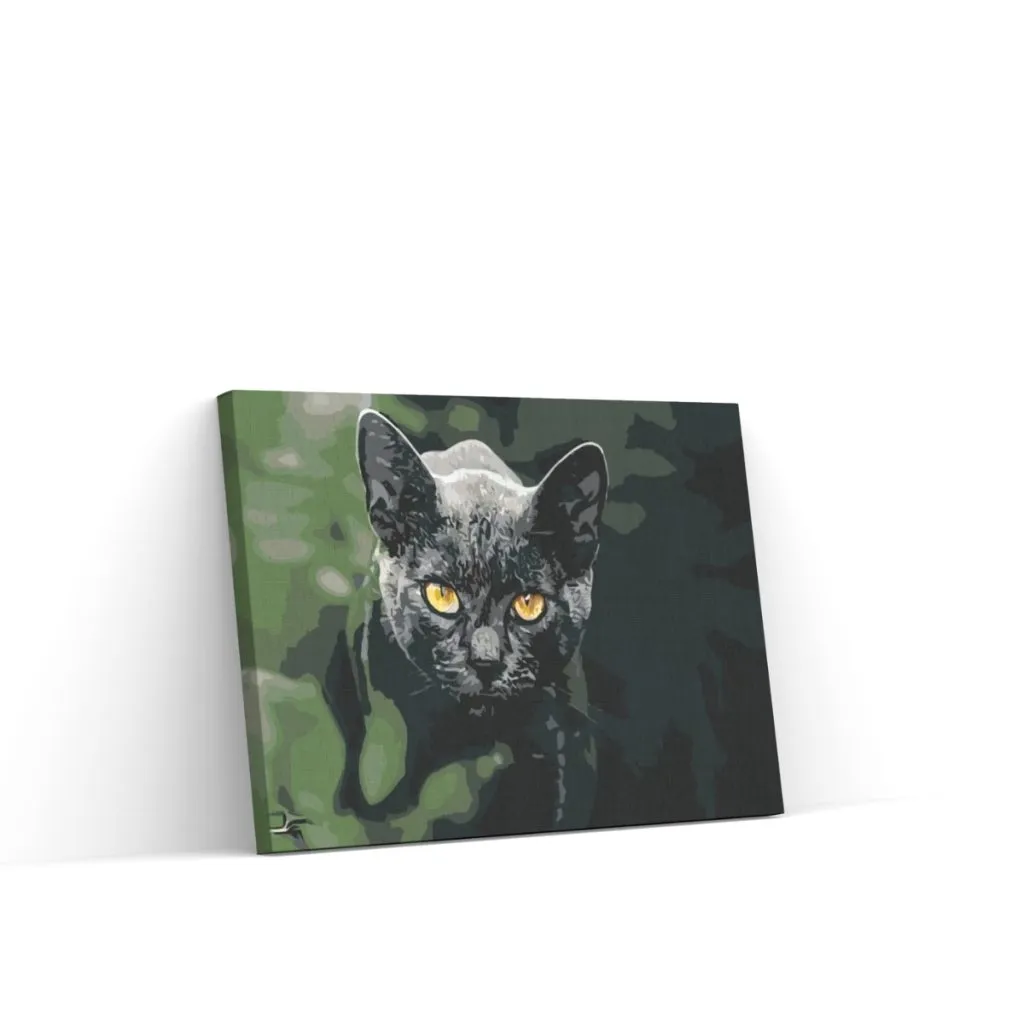 Pintar por Números - Gato negro