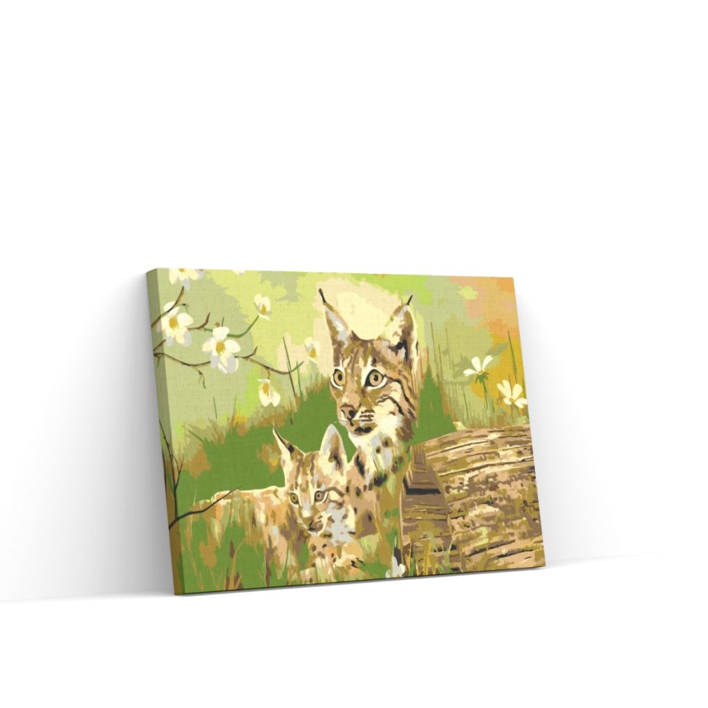 Pintar por Números - Gatos salvajes en libertad