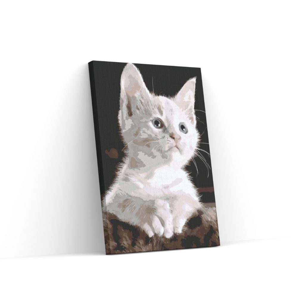 Pintar por Números - Gato blanco