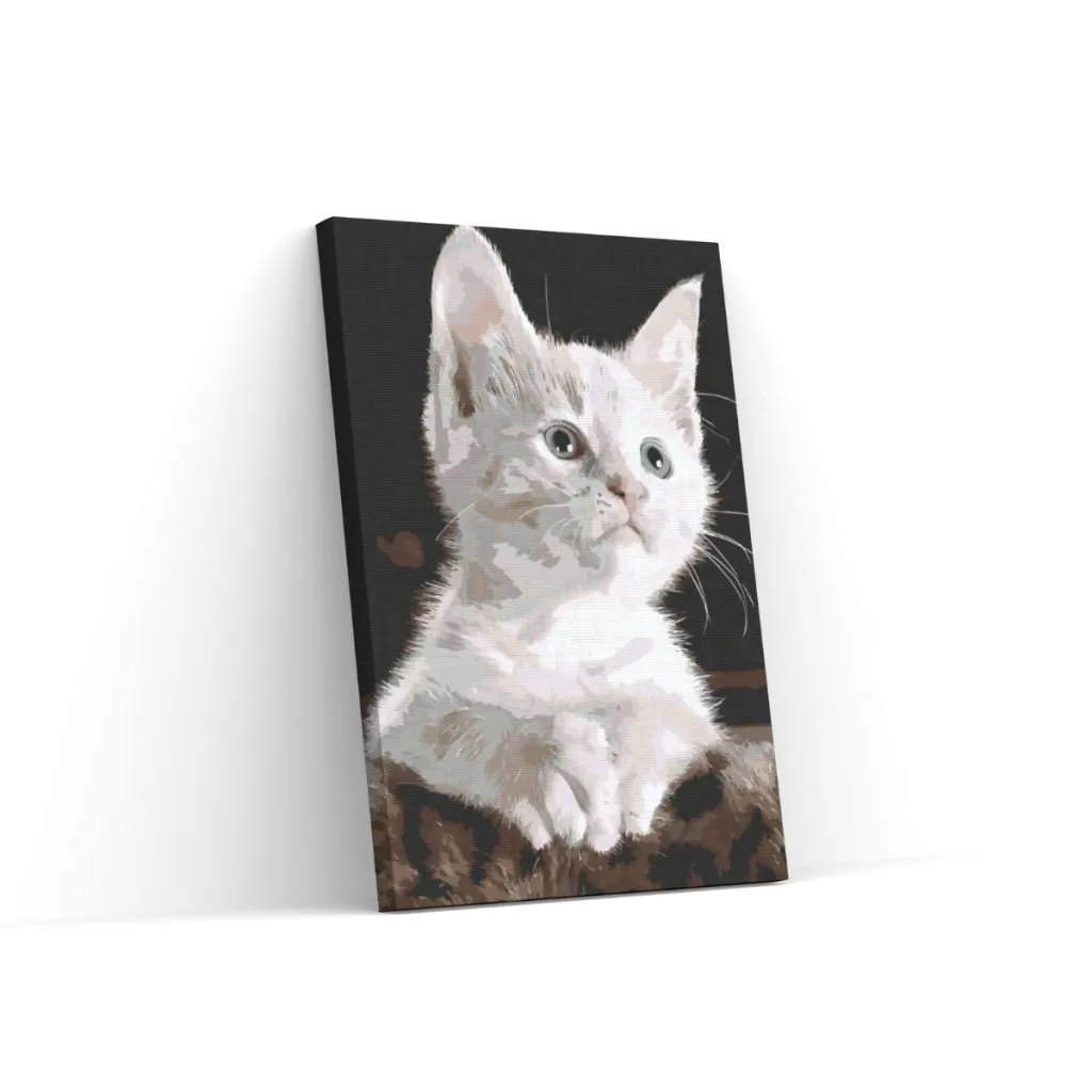 Pintar por Números - Gato blanco