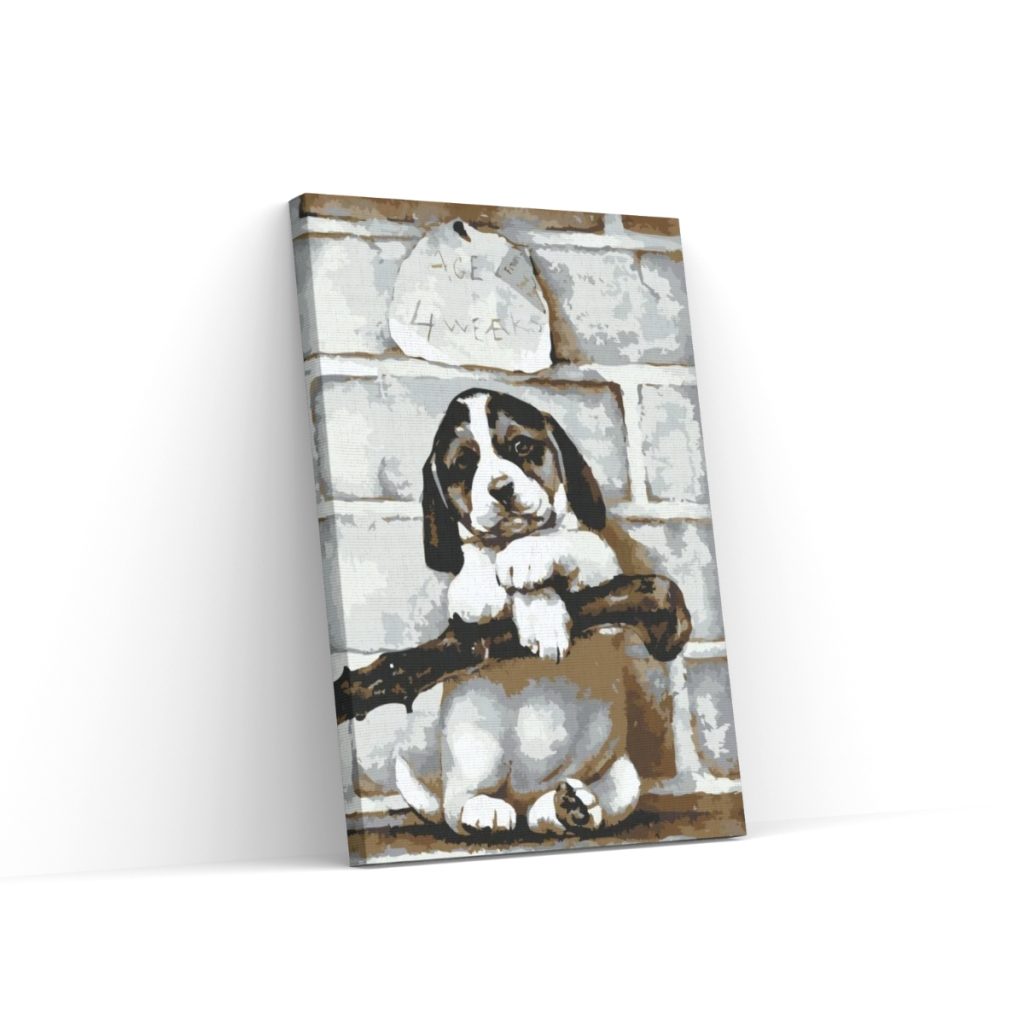 Pintar por Números - cachorro de 4 semanas