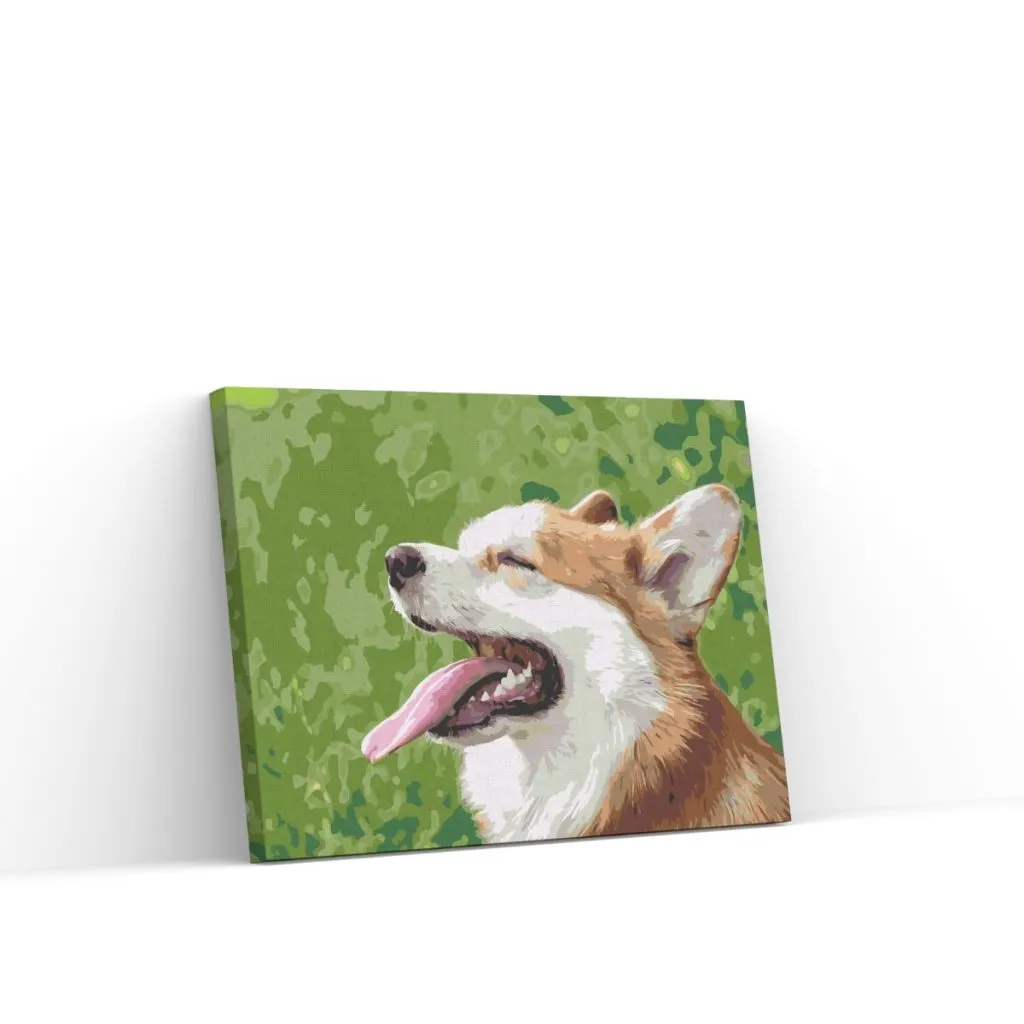 Pintar por Números - Corgi, foto 1