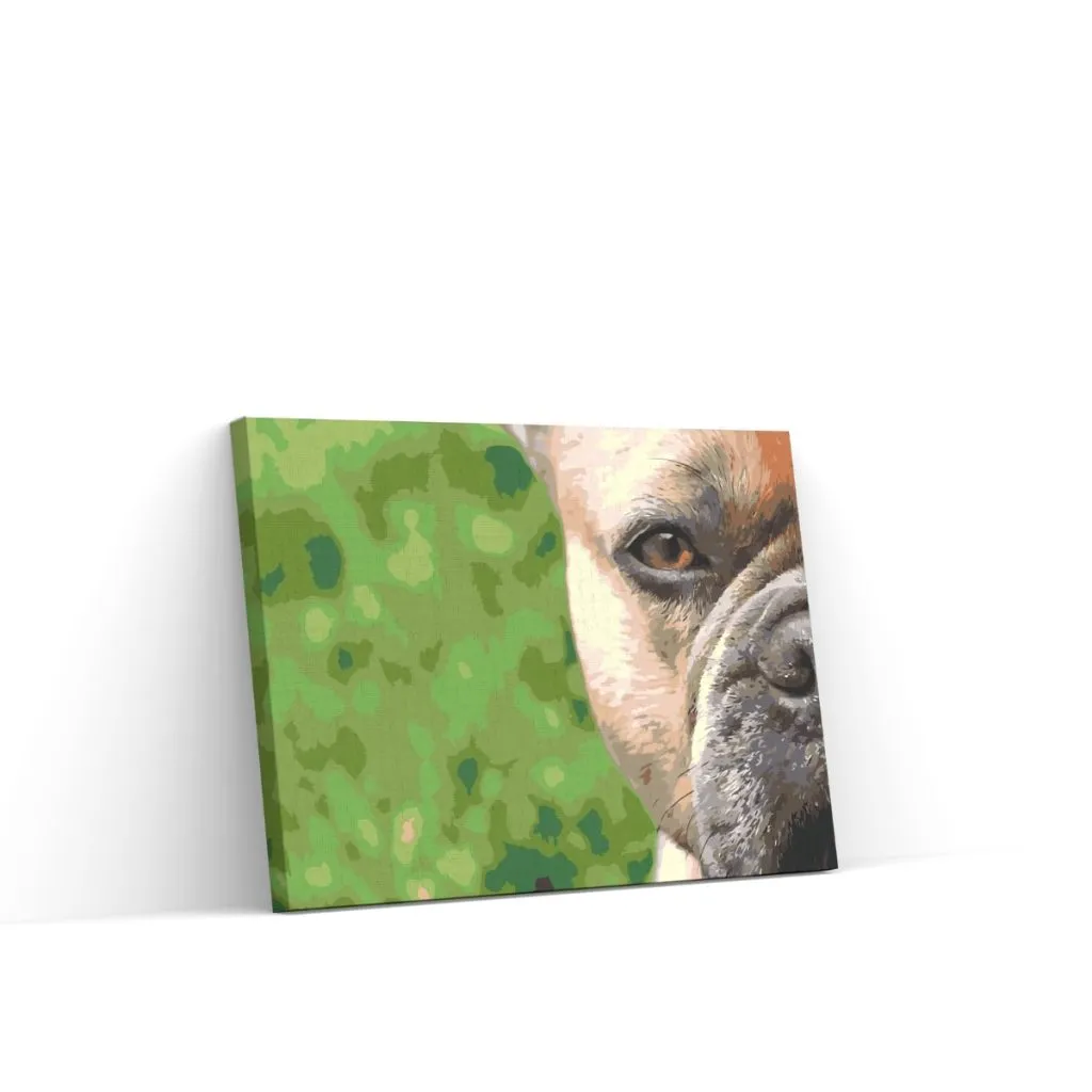 Pintar por Números - Bulldog francés