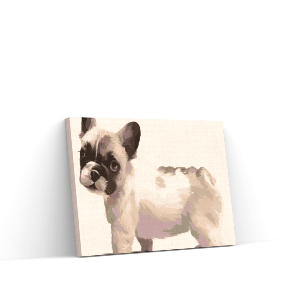 Pintar por Números - Bulldog francés