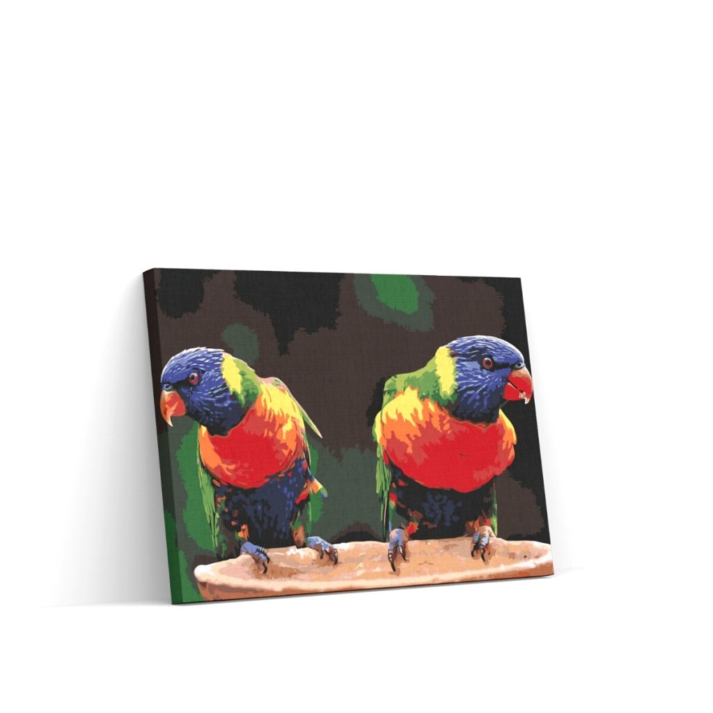 Pintar por Números - Loros arco iris