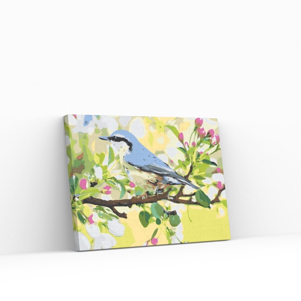 Pintar por Números - Ave primaveral