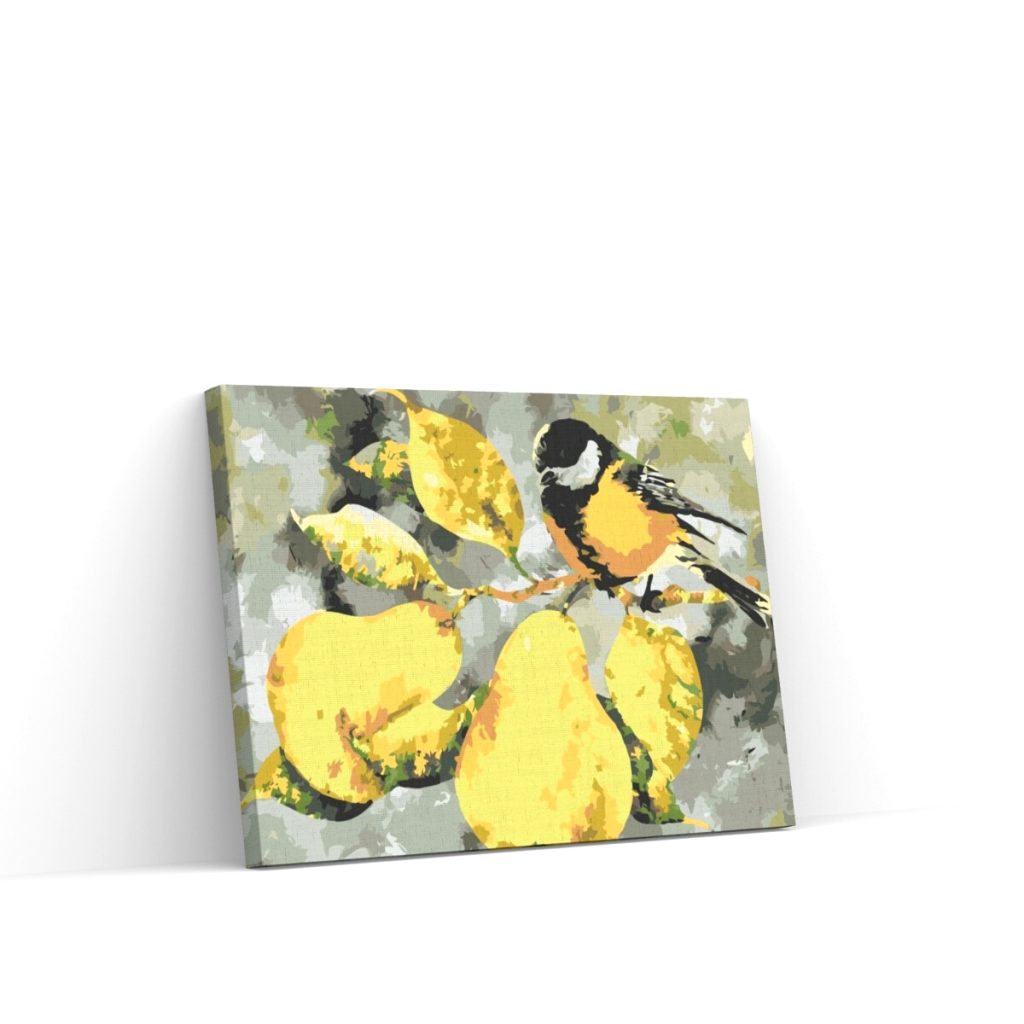 Pintar por Números - Carne y peras