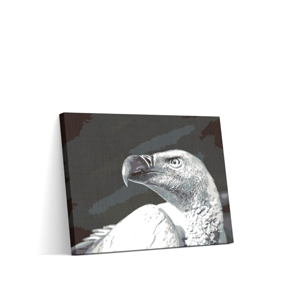 Pintar por Números - Sup