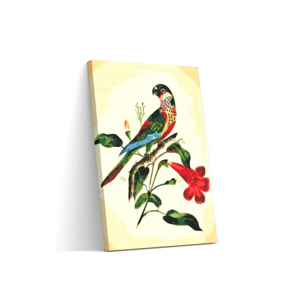Pintar por Números - Pájaro de época