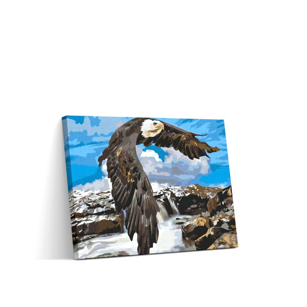 Pintar por Números - Águila en la cascada