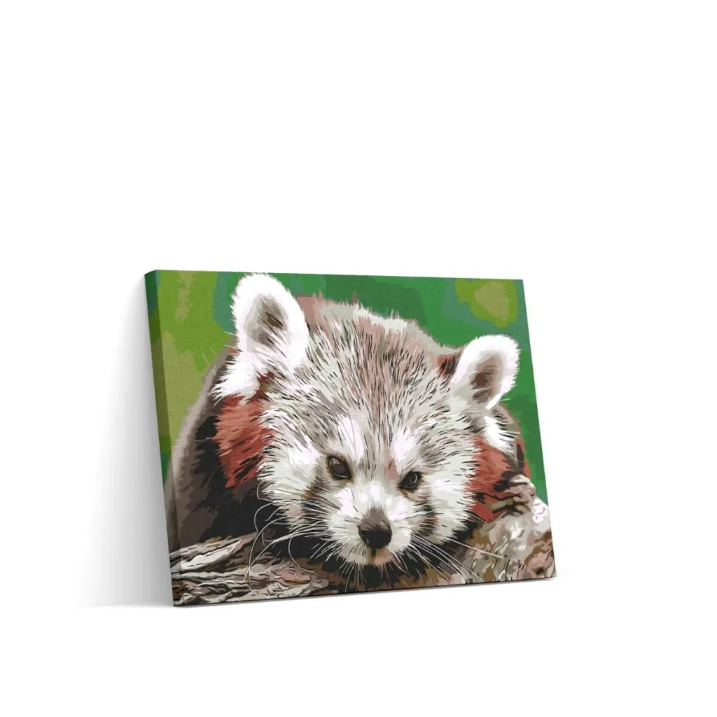 Pintar por Números - Panda rojo
