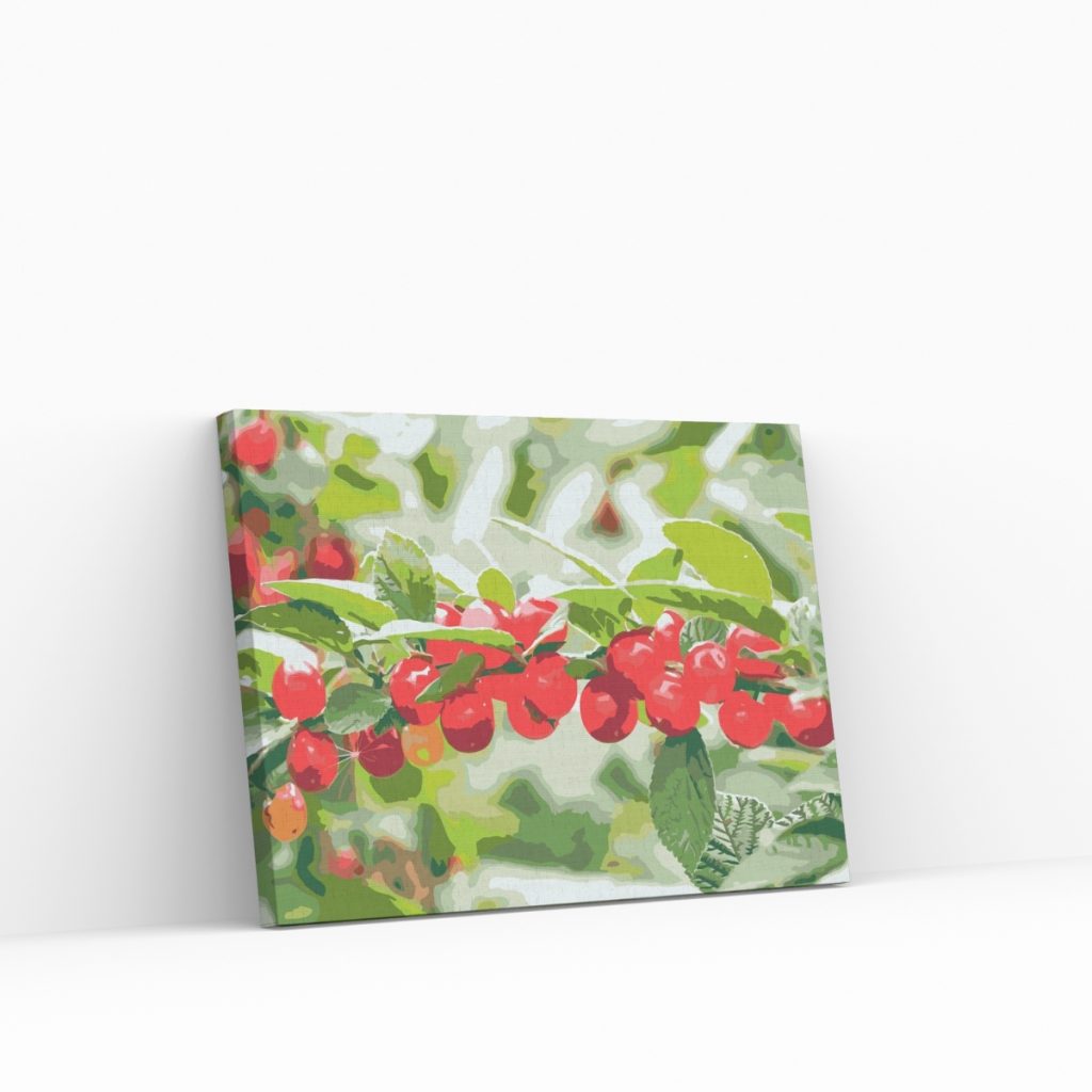 Pintar por Números - Viñedos