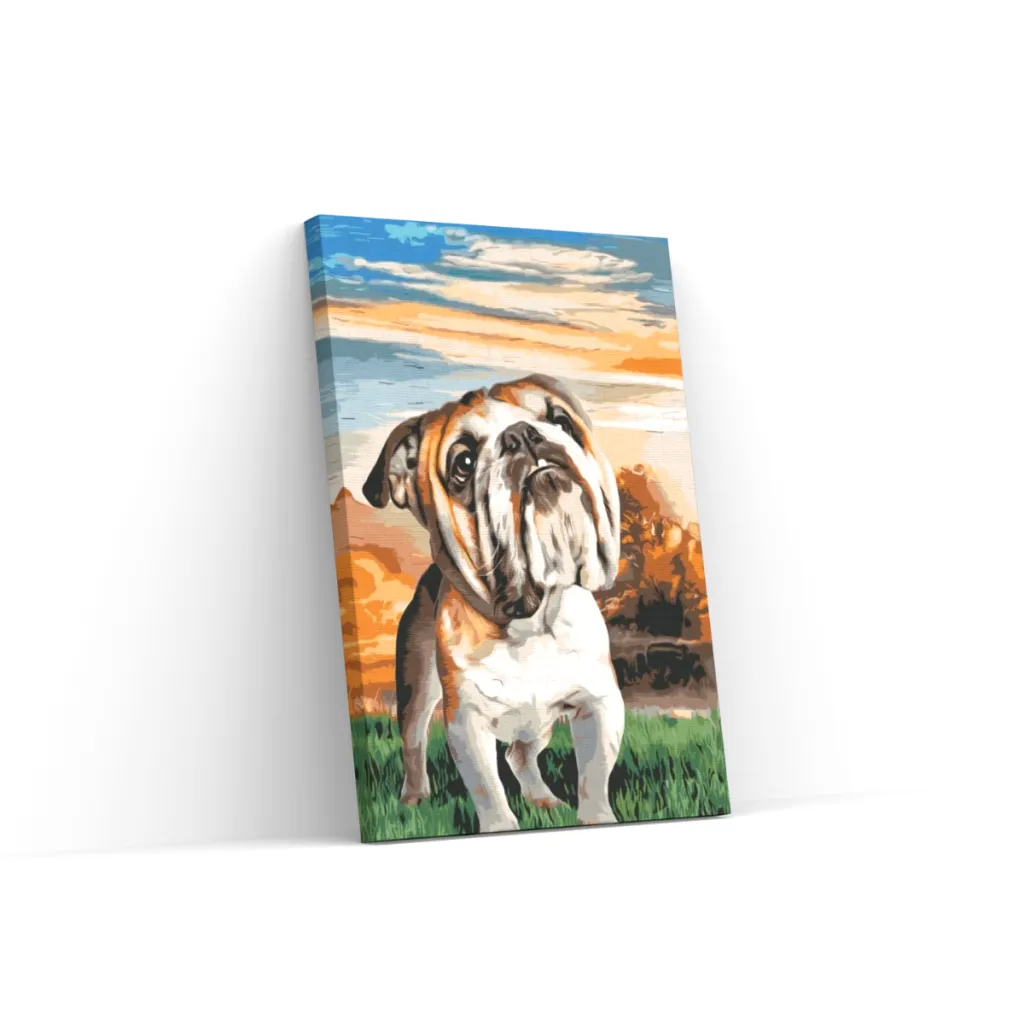 Pintar por Números - Bulldog inglés en el jardín
