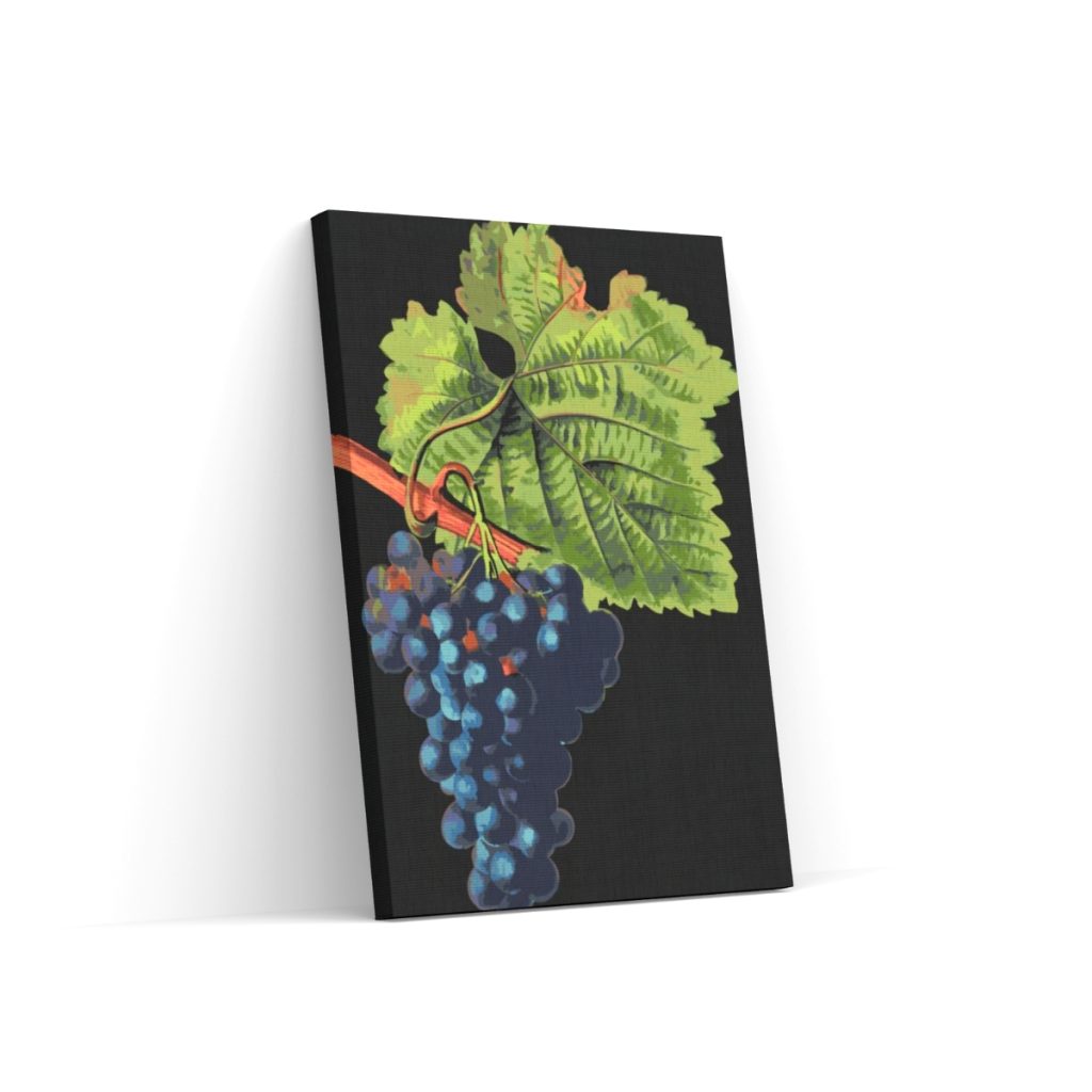 Pintar por Números - Uvas de vendimia