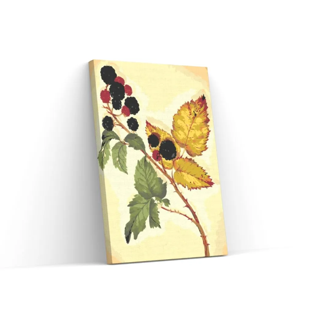 Pintar por Números - Zarzamora vintage
