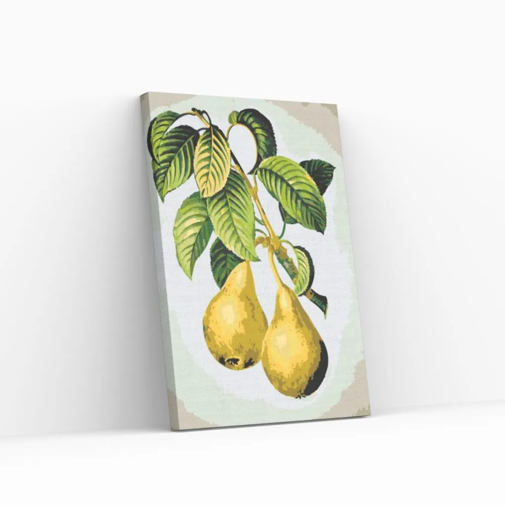 Pintar por Números - Peras maduras