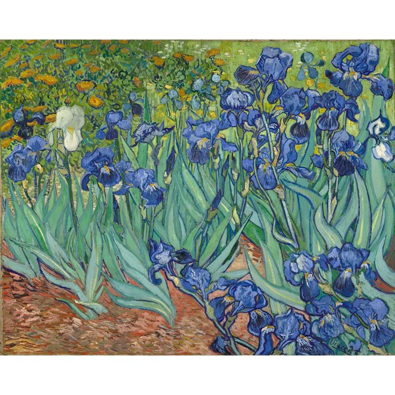 Pintar por Números - Hermosas flores Van Gogh