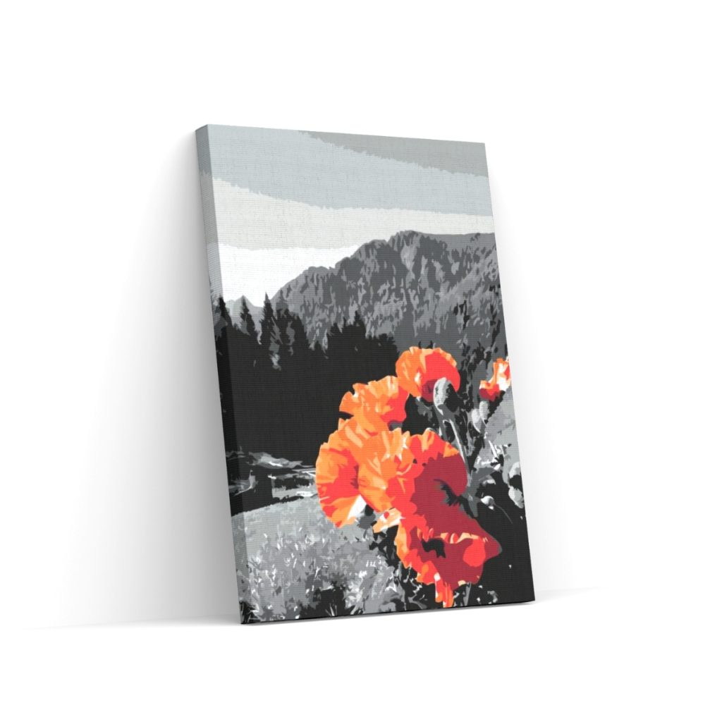 Pintar por Números - Amapolas en las montañas