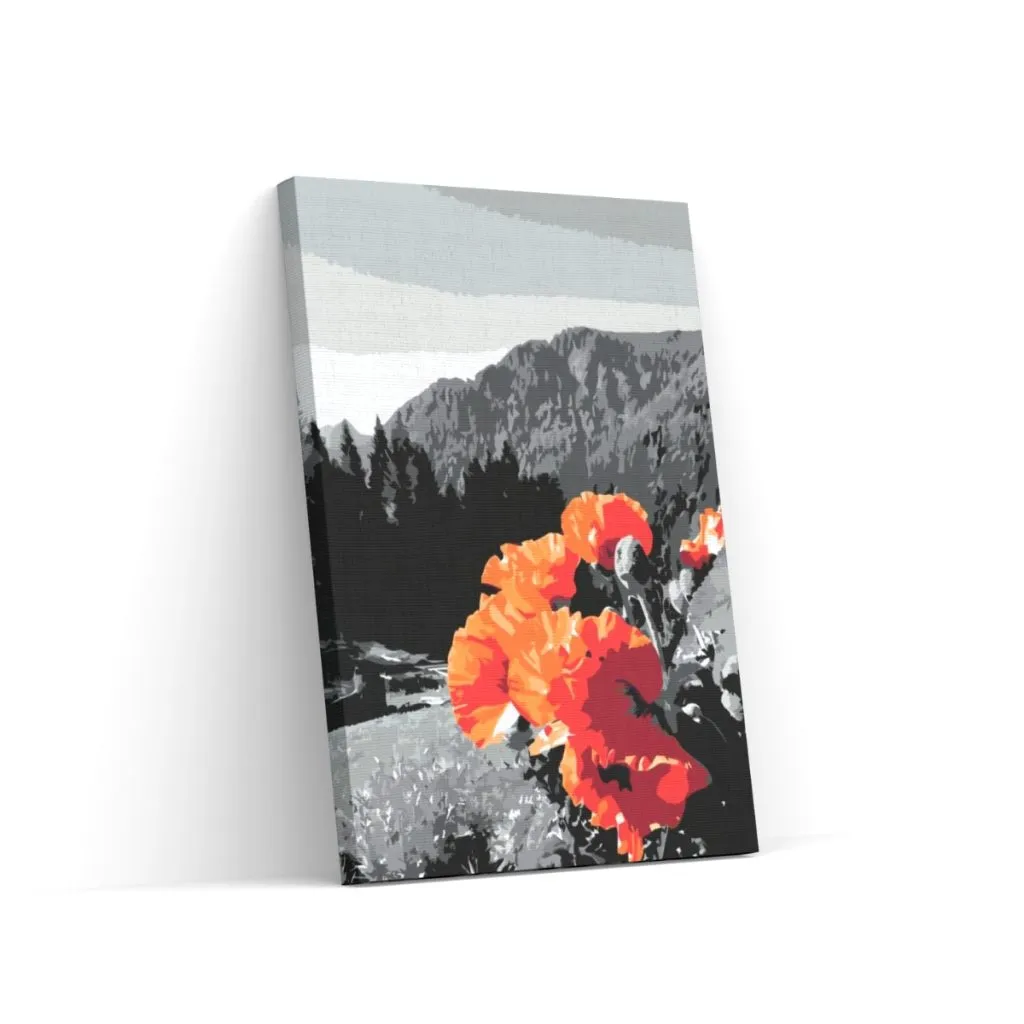 Pintar por Números - Amapolas en las montañas