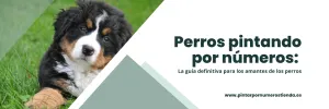 Pintar por números perros